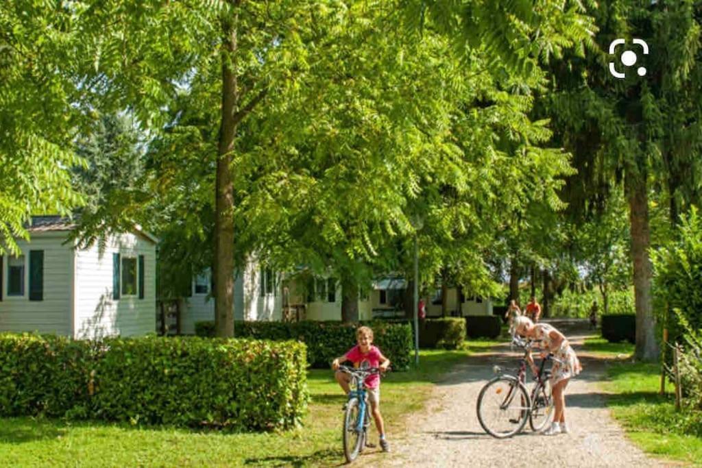 Ferienwohnung Location Mh Situee A 15 Mn D Europa Park Et Rulantika Boofzheim Exterior foto