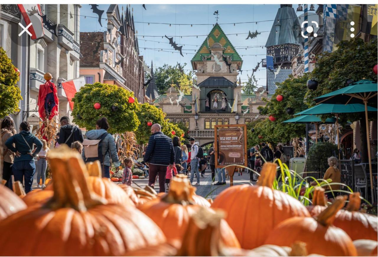 Ferienwohnung Location Mh Situee A 15 Mn D Europa Park Et Rulantika Boofzheim Exterior foto